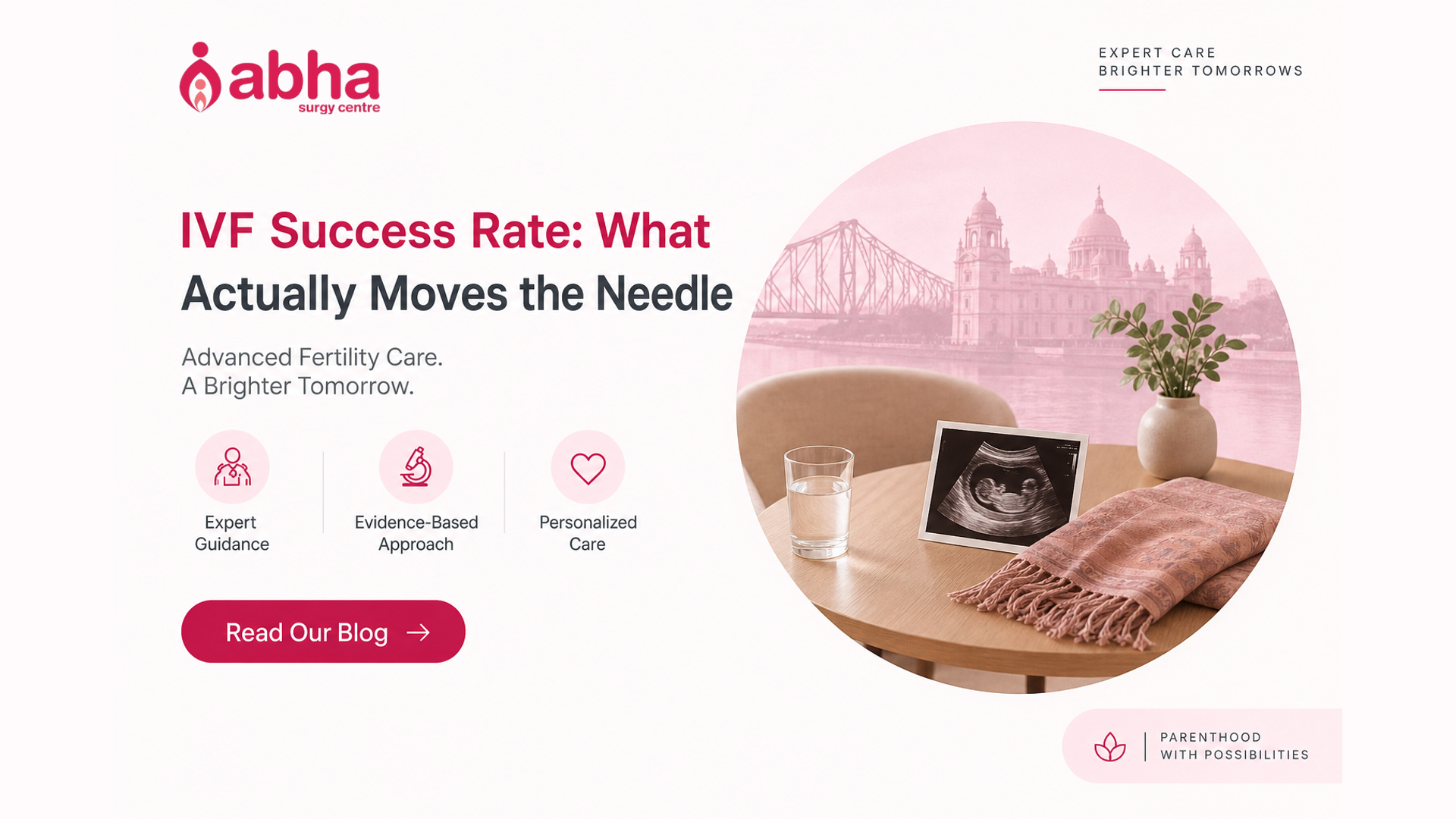 IVF : What Actually Moves the Needle